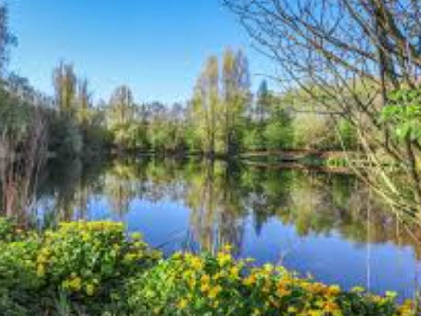 Scrub Clearance - Walton Colliery Nature Park