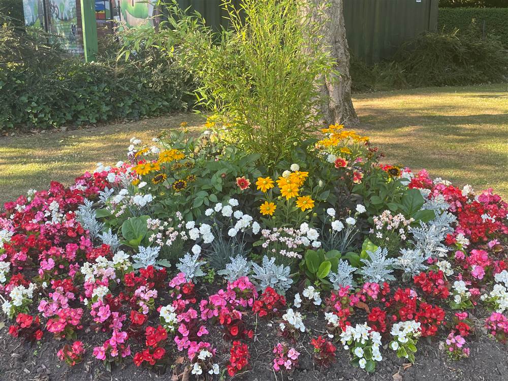 Glow up our Gardens