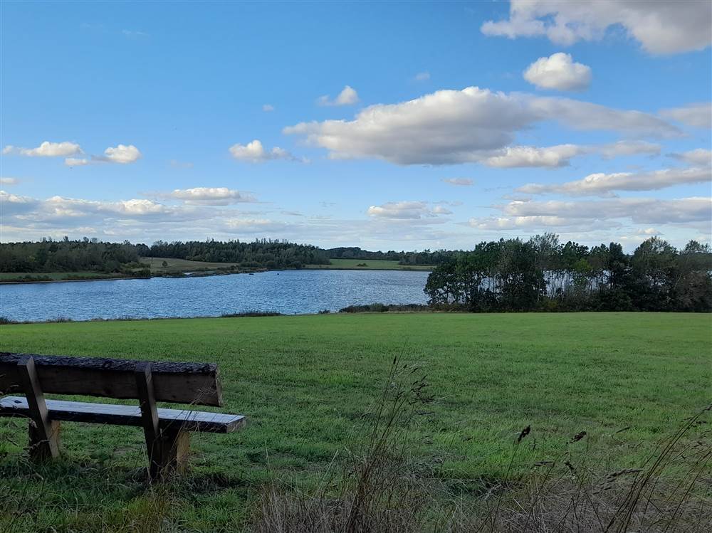 Maintaining and improving Haw Park Wood and Anglers Country Park