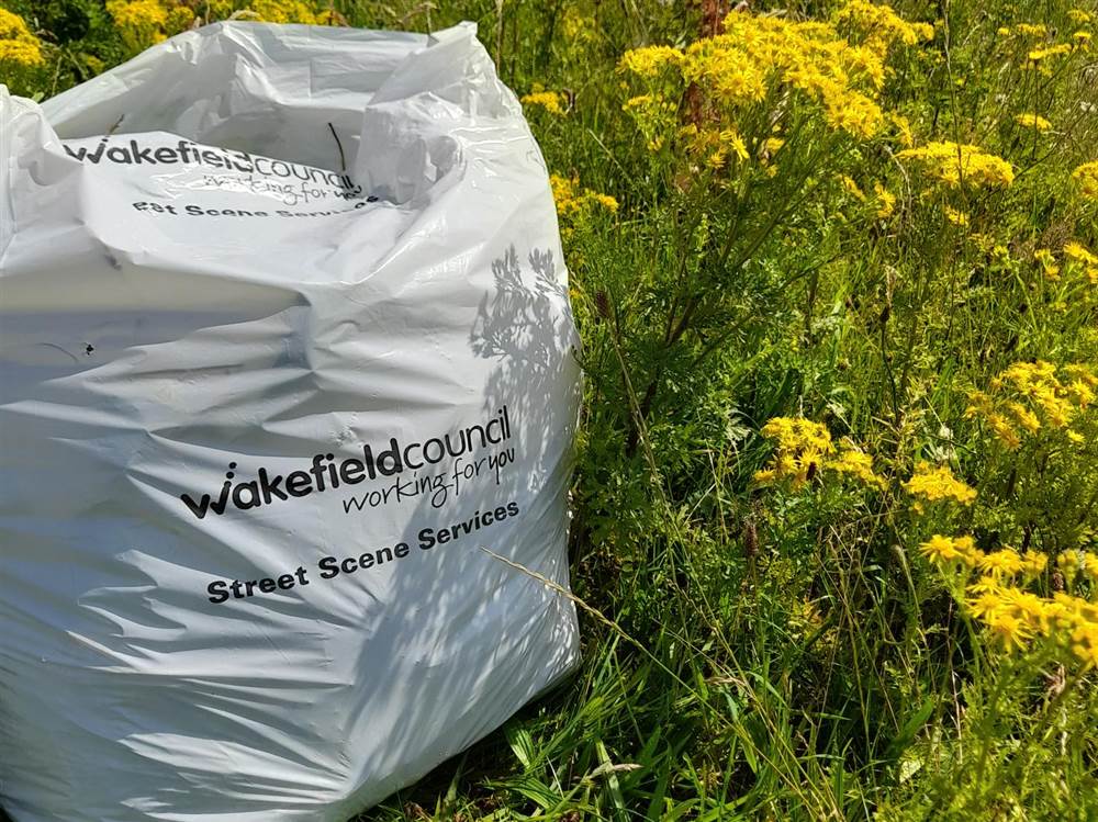 Ragwort Pulling on Heath Common