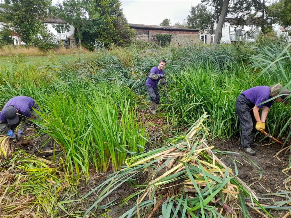Pond Clearance at South Heindley Common
