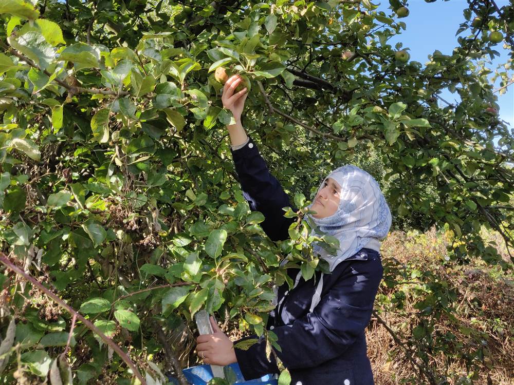 Food Growing and Conservation Volunteering