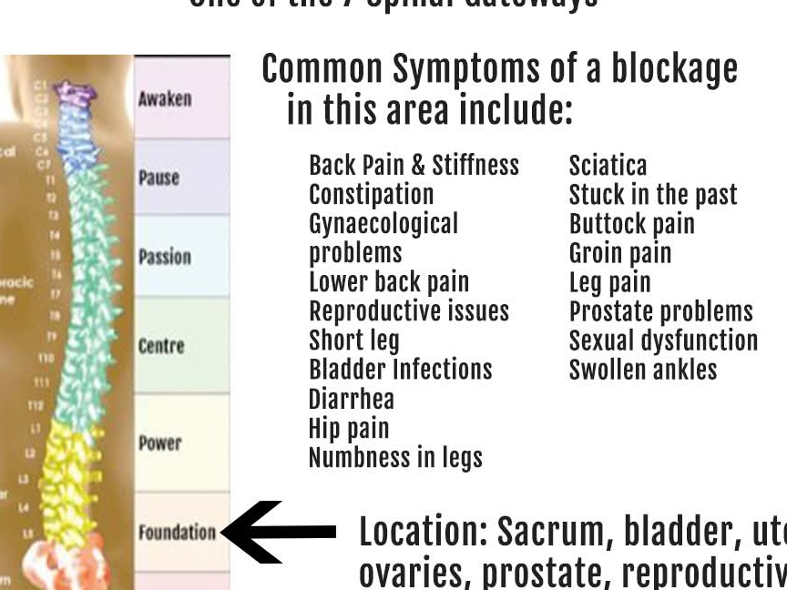 Spinal flow session with free gateway and posture check